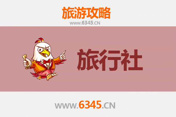 开封通许旅行社精选推荐：深度体验千年古邑的文化魅力