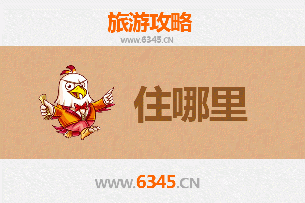 开封通许民宿全攻略：古韵与现代交融的住宿体验